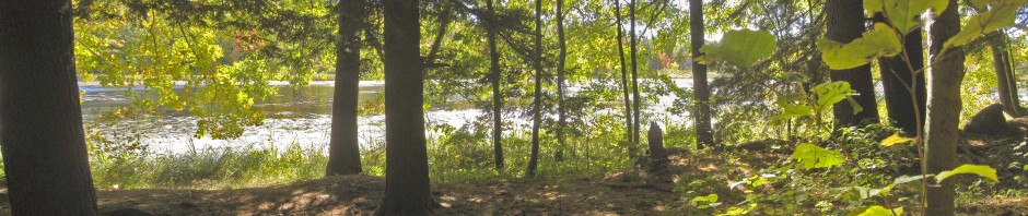bbc_banner_under_hemlocks_ret1_resized