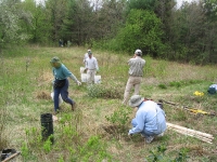 Shrub Island planting volunteer day