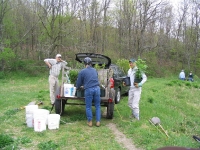 Shrub Island planting volunteer day