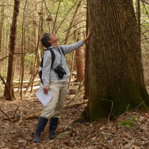 Laurie Sanders at a great tree