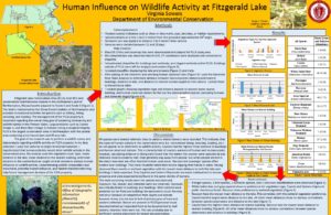 Wildlife Activity Poster by Elizabeth Sowers